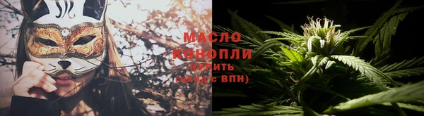 прущие грибы Лабытнанги