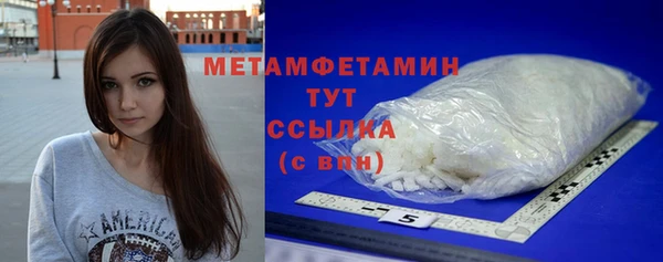 шишки Коряжма