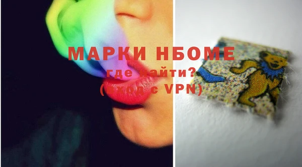 прущие грибы Лабытнанги