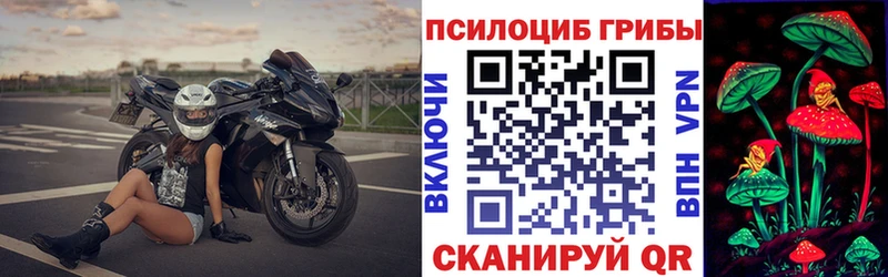 Галлюциногенные грибы Cubensis  Курганинск 